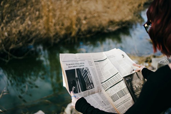 L'abattage des forêts : principal moteur de la déforestation